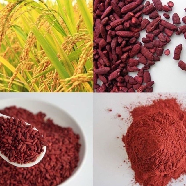 Bột gạo men đỏ bột hồng cúc 50g - 100g