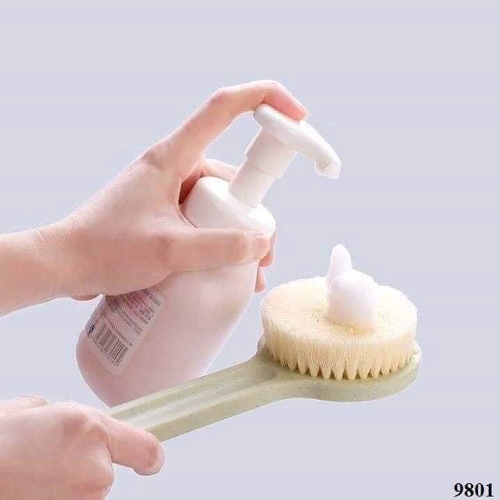 CÂY CHÀ LƯNG, CỌ CHÀ LƯNG MUJI NHẬT BẢN