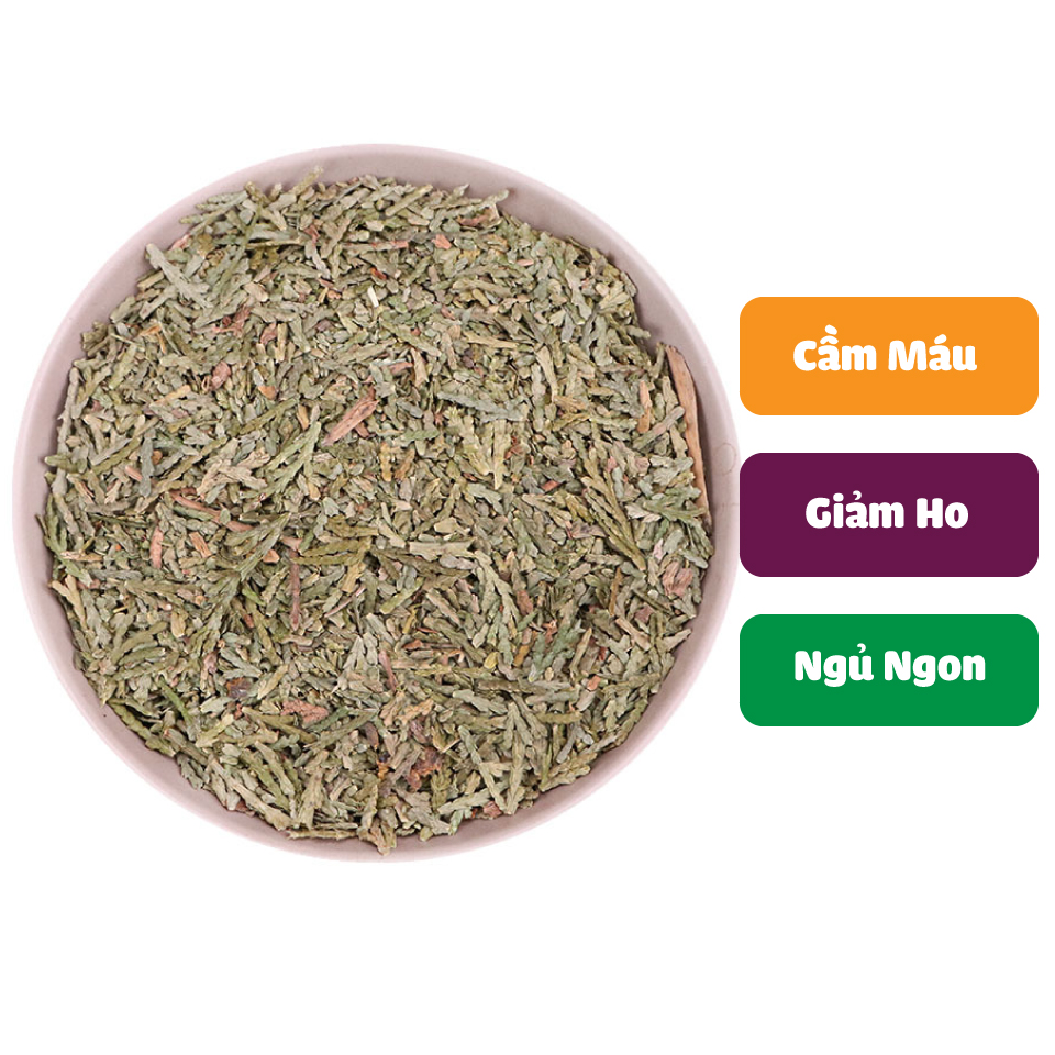 Trắc bá diệp khô 500g - tấn phát