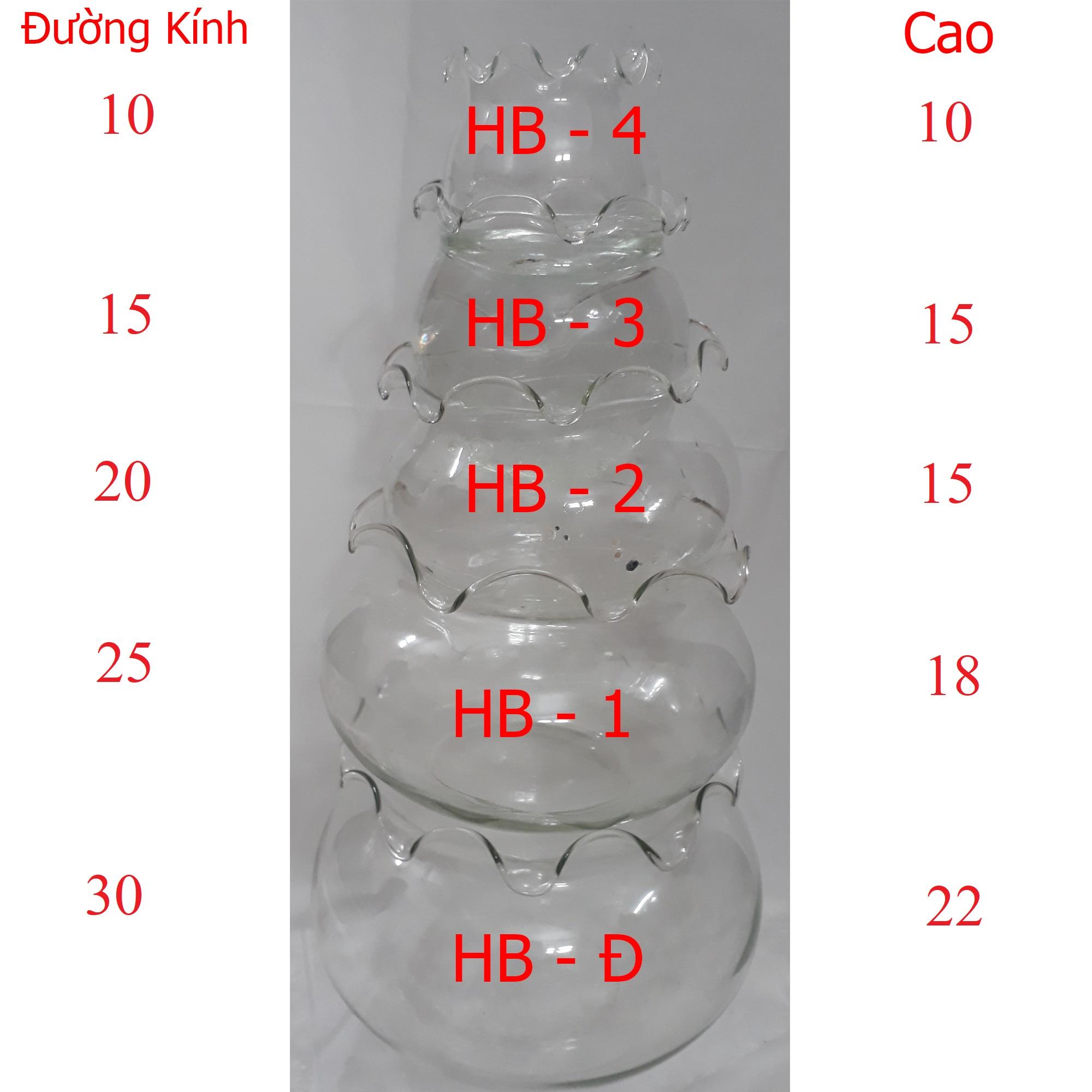 Bể Cá Mini - Hồ Cá Để Bàn - Chậu Cá Thủy Tinh HB-4 10x10x10