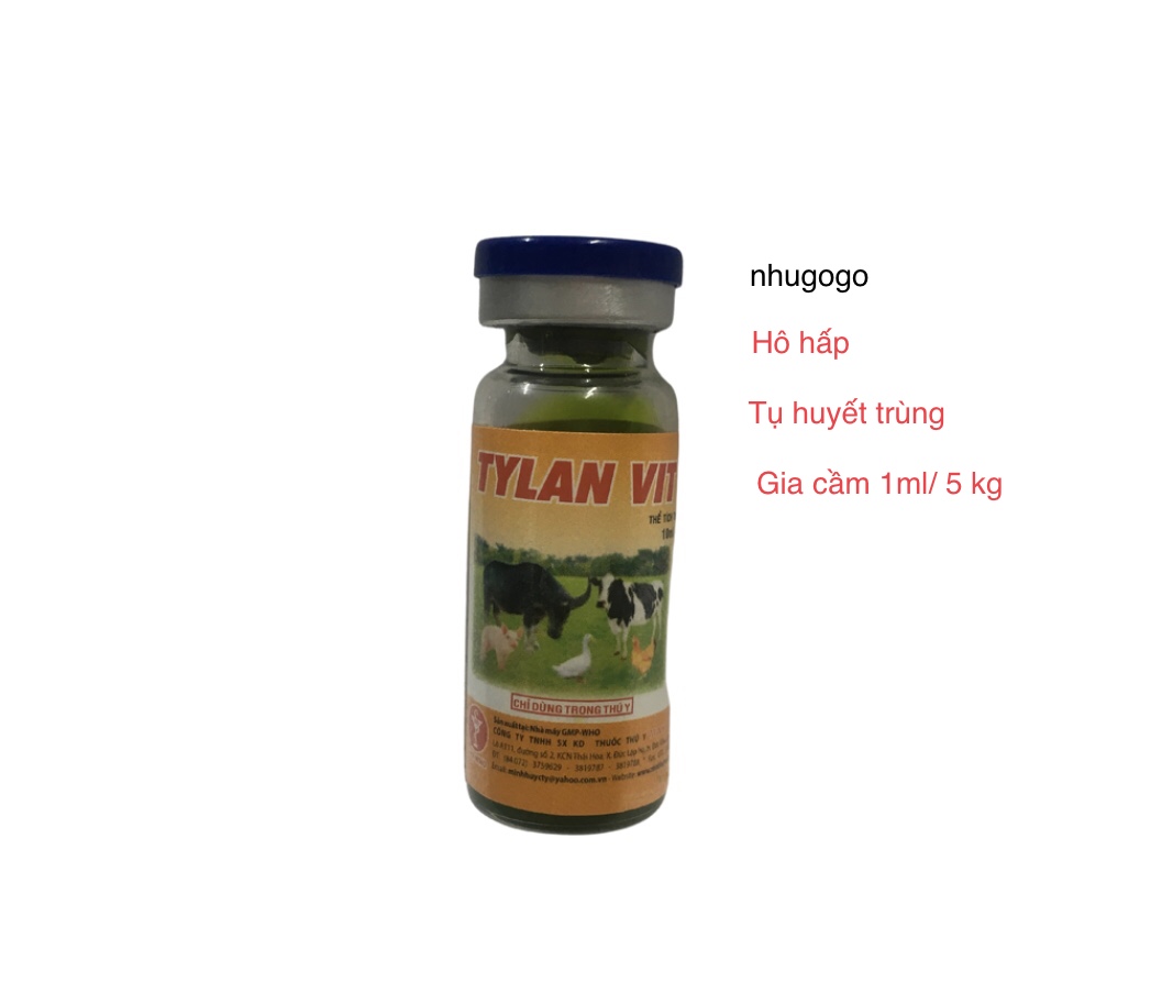 Tylan vit 10ml hen, khò khè, khẹc, ho trên gà