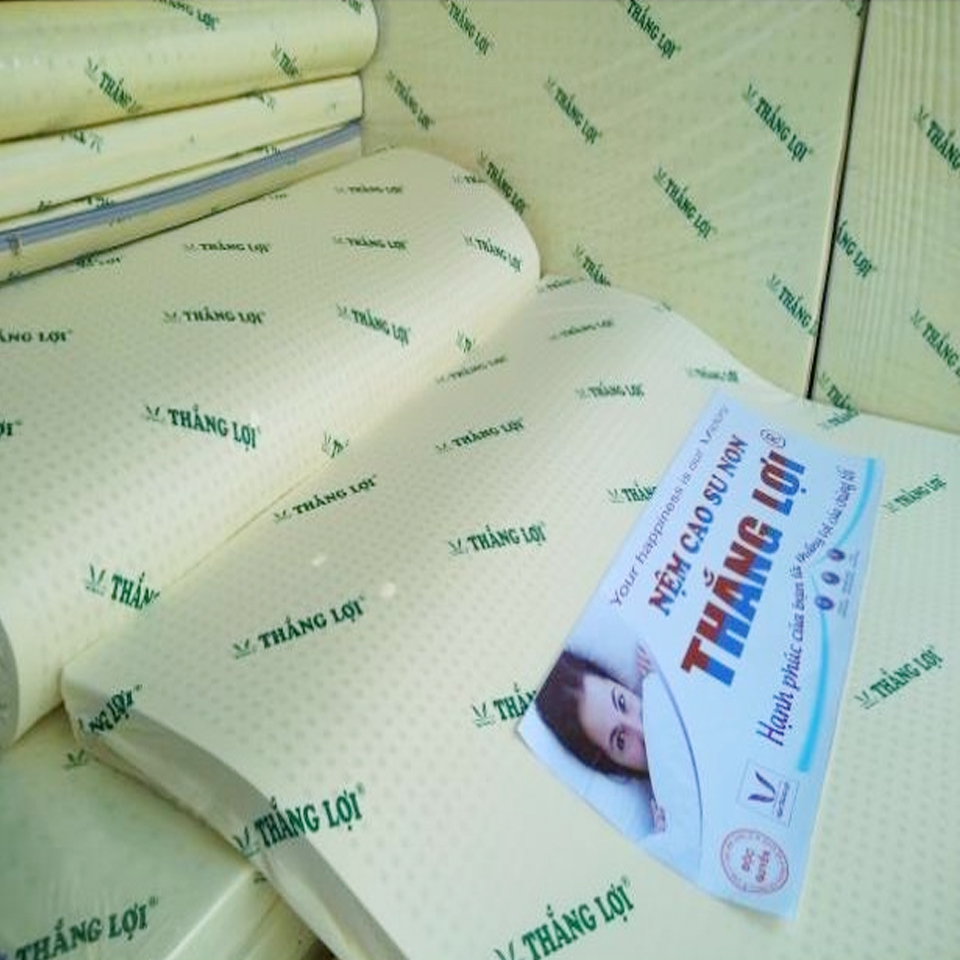(FREE SHIP HCM ) Nệm Cao Su Non Thắng Lợi - Nệm Gấp 3 Thoáng Mát Độ Bền Cao