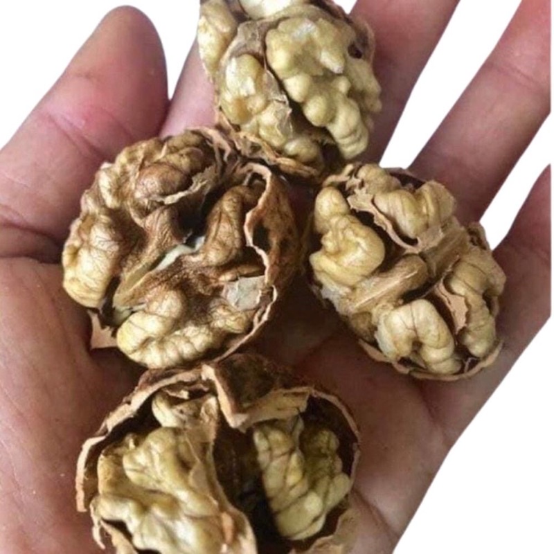 Quả Óc Chó Sấy Khô