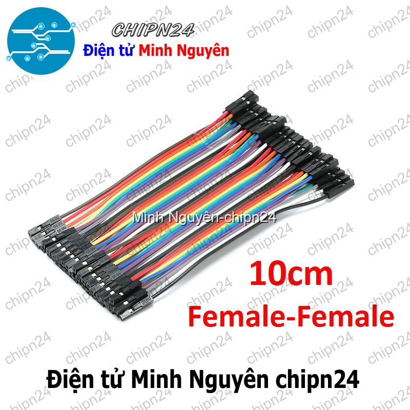[20 sợi] (P66) Dây Cắm Test Board 10cm Cái-Cái - HH000204