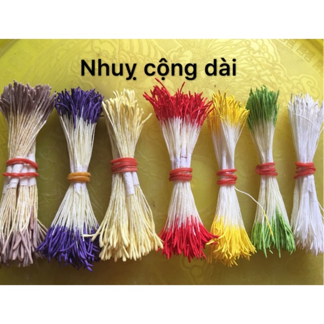Nhuỵ cộng dài -nhuỵ mai