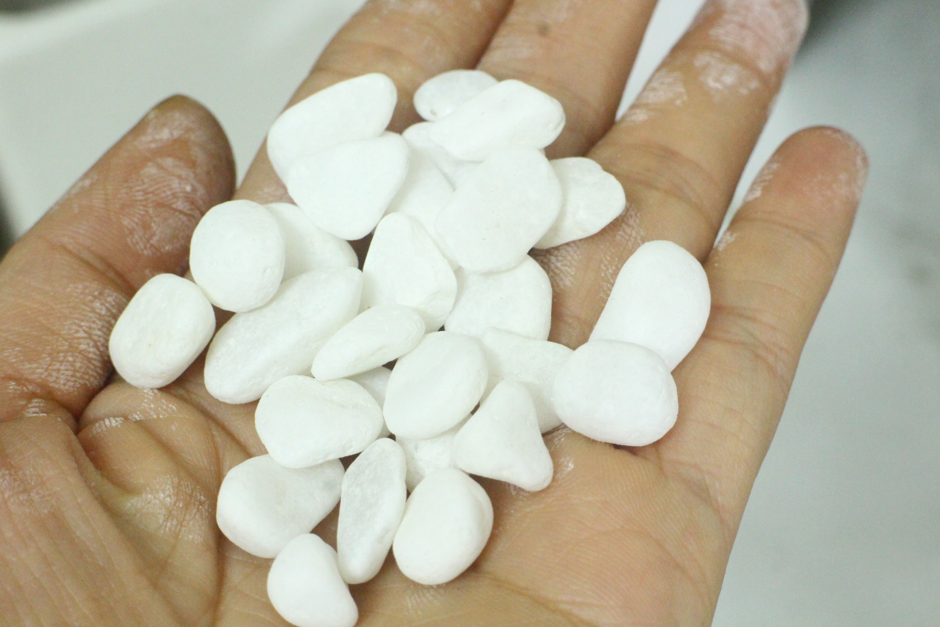 Sỏi trắng trang trí bể cá, sân vườn, cây cảnh (1kg)