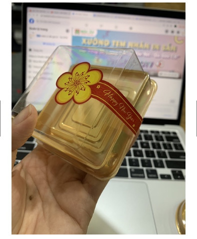100 Tem Dán Hoa Mai Happy New Year, Nhãn dán Tết