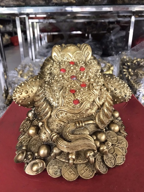 Thiềm thừ cuốn thư