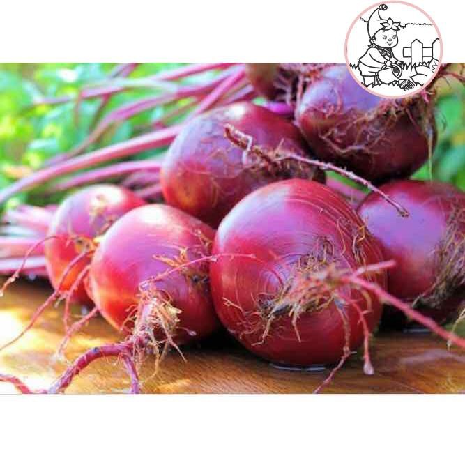 HẠT CỦ DỀN - GÓI 5 GRAM