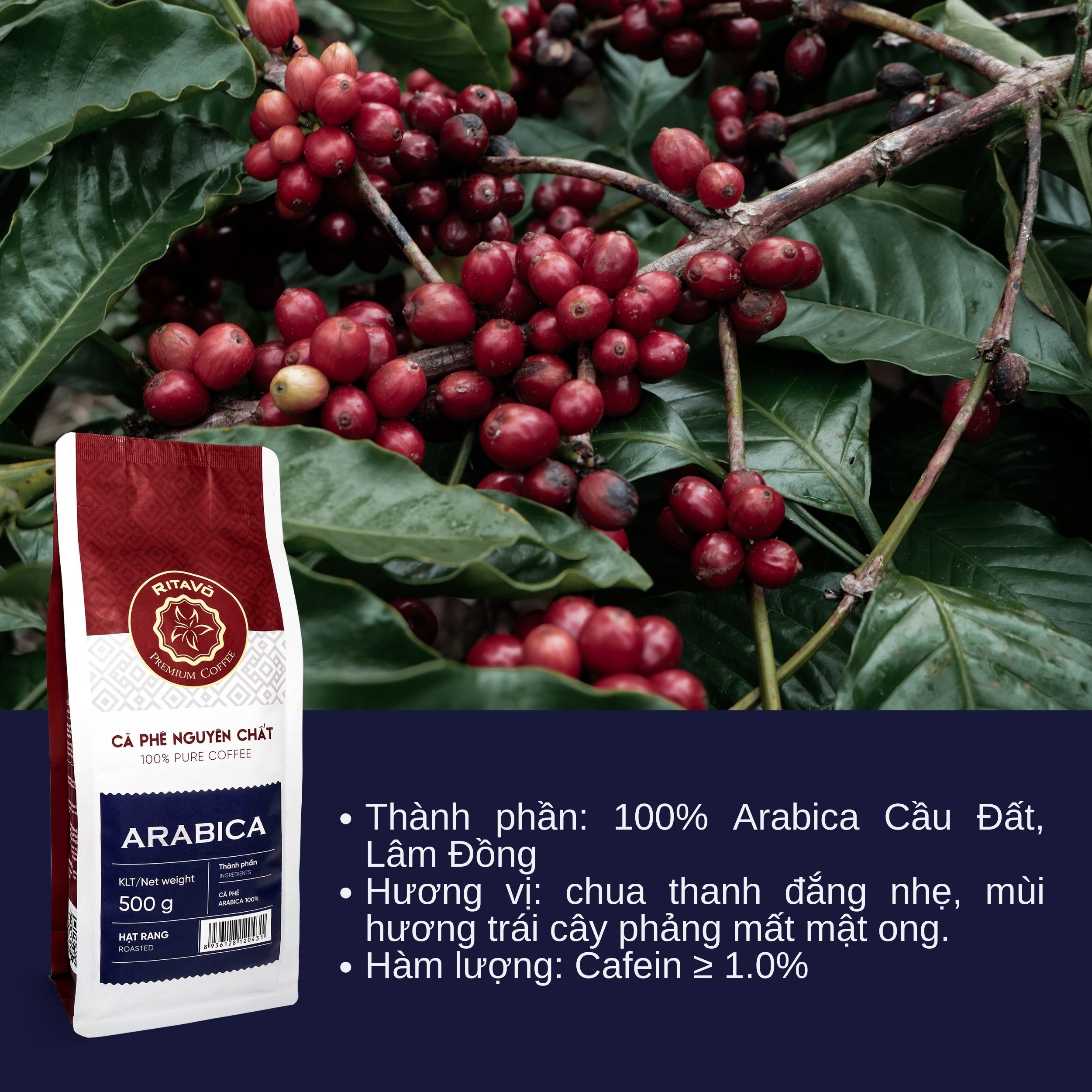 Cà phê hạt rang Rita Võ Cafe Arabica 500g