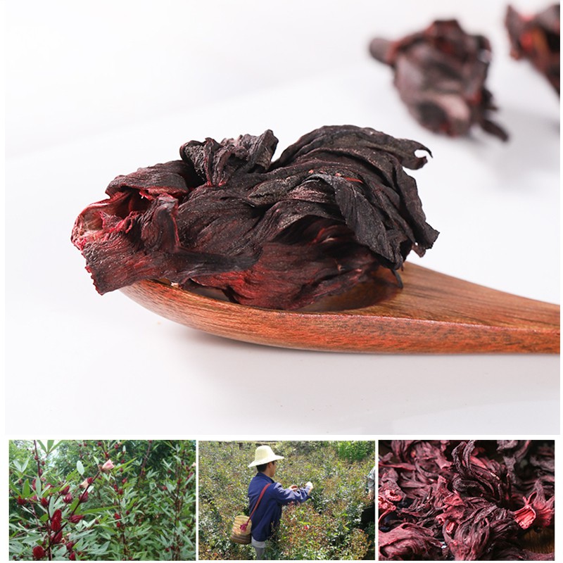 Trà hoa atiso đỏ 500g - Hàng sạch xanh chất lượng cao giá tốt nhất thị trường - Thảo Dược Tấn Phát