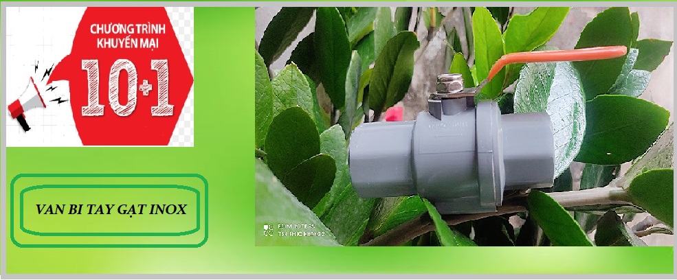 VAN BI TAY GẠT INOX 21MM