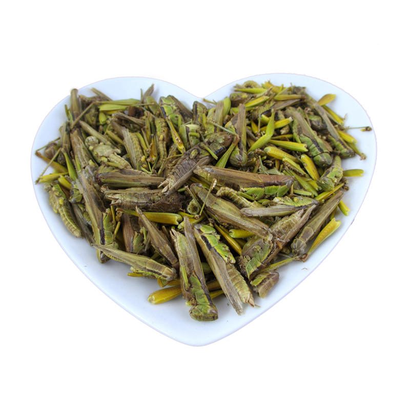 Châu Chấu Khô Thiên Nhiên