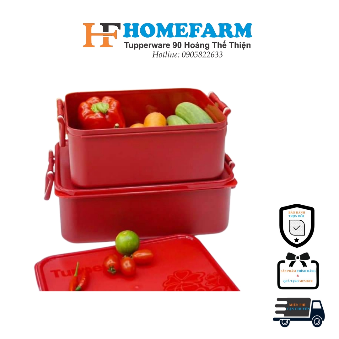 Bộ hộp bảo quản thực phẩm Tupperware ngâm (2)