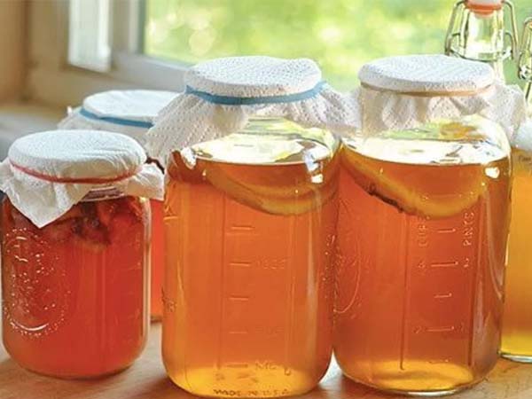 Nước mồi làm Kombucha 500ml (không kèm bình)