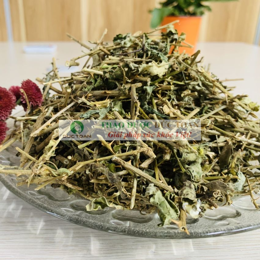 Cà Gai Leo Khô [Giá sỉ] túi 1Kg