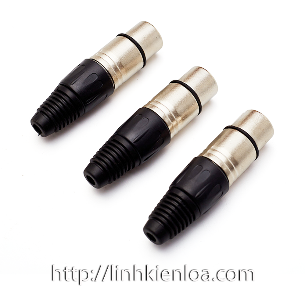 Jack Canon đầu đực (Male) - Jack Canon đầu cái (Female)