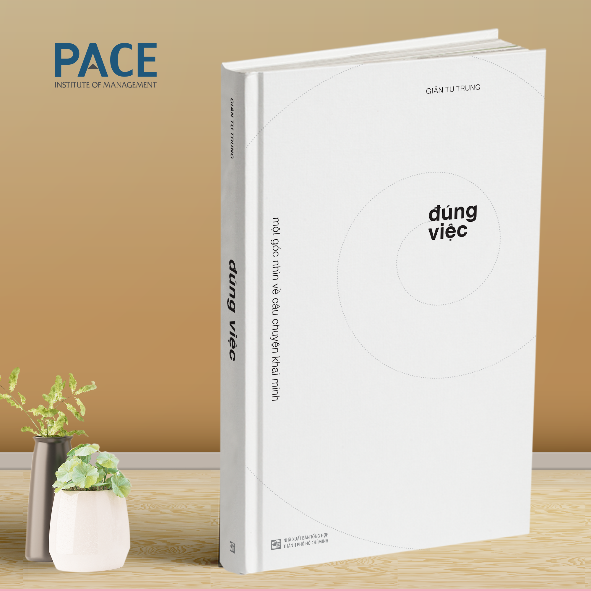 Sách - Đúng việc : Một góc nhìn về câu chuyện khai minh