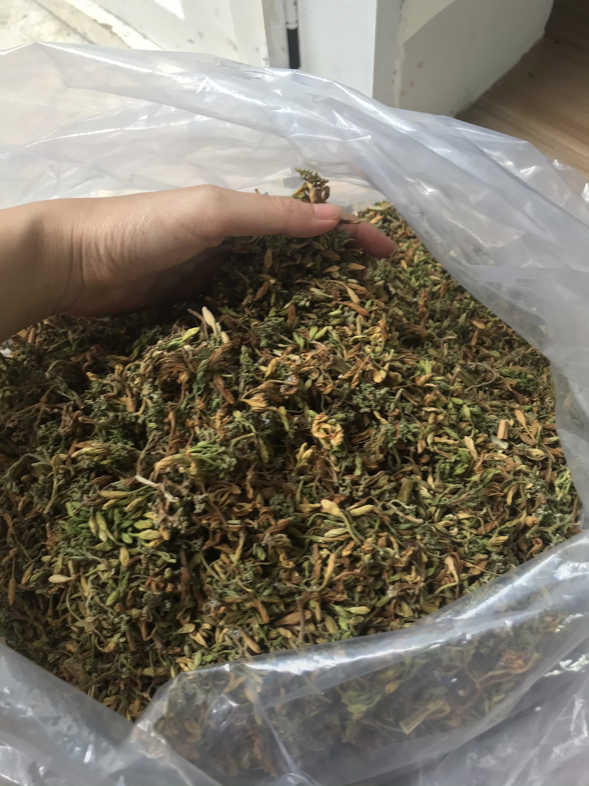 Bông đu đủ đực hàng sấy khô thơm đẹp