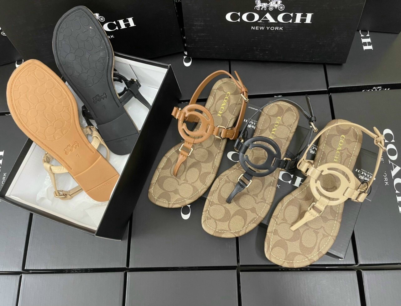 Discover 101+ coach thong sandals best vietkidsiq.edu.vn