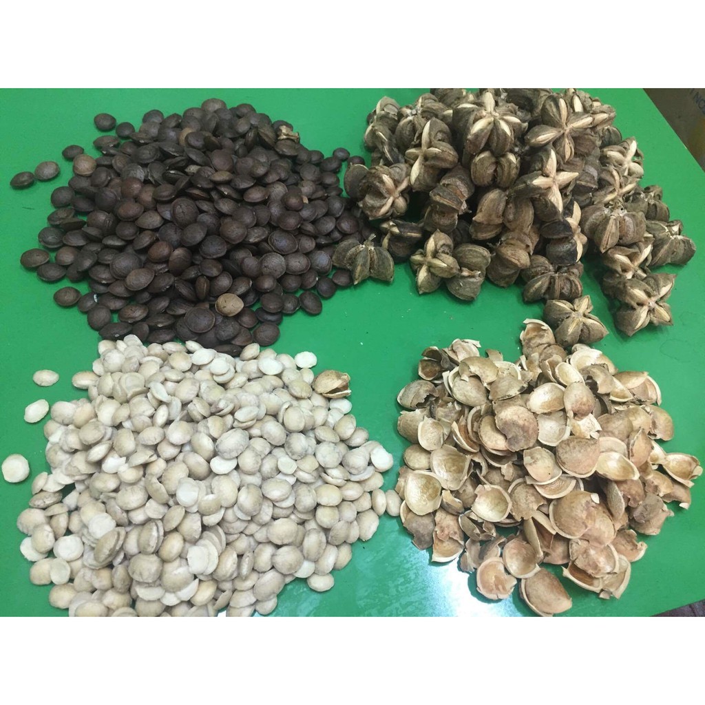 Nhân hạt Sachi đã rang chín ăn liền 500Gr