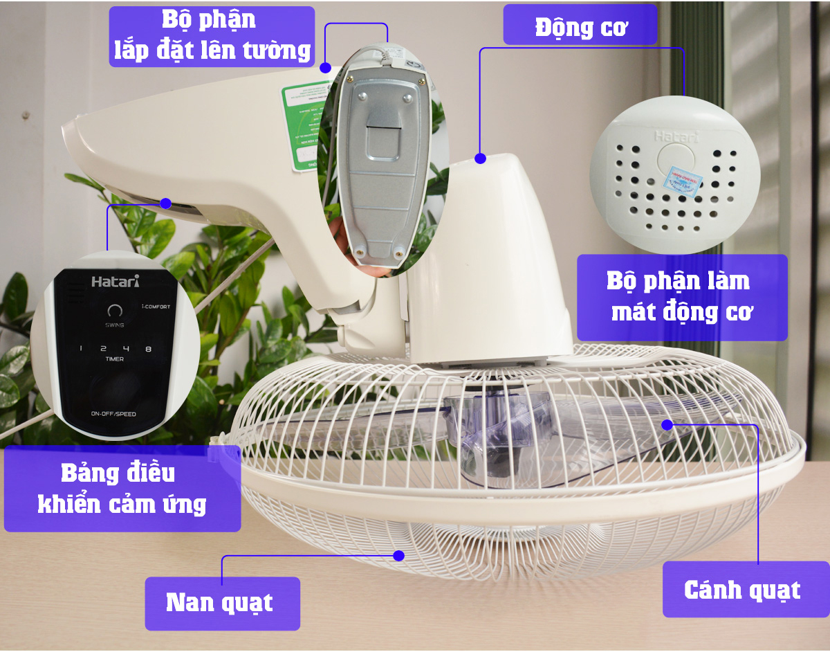 Quạt treo tường Hatari HTW16R6 Thái Lan