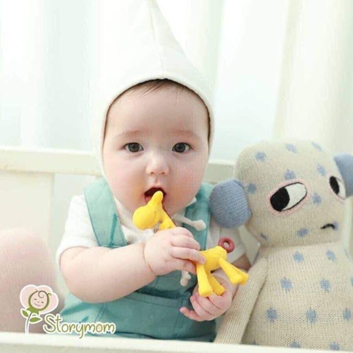 Combo 2 món Gặm nuou hươu cao cổ và chuối cho bé
