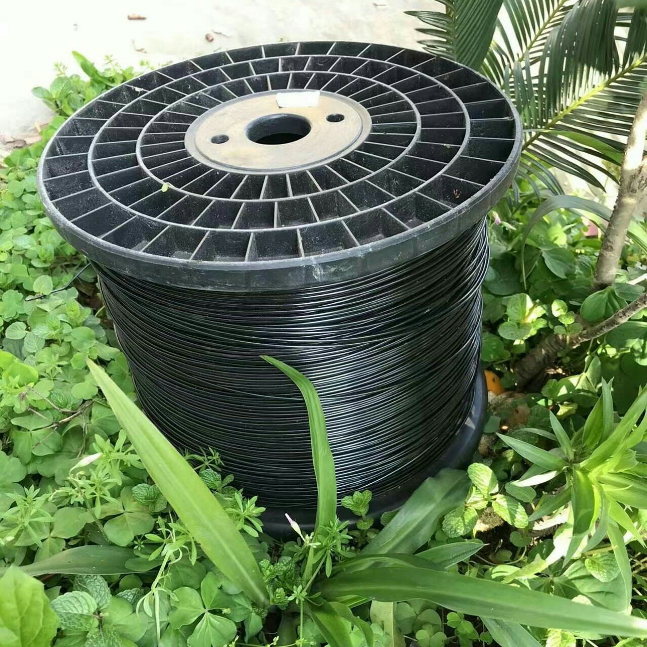 Dây căng giàn dây leo (nho, cà, bầu, bí..) căng sầu riêng, bơ