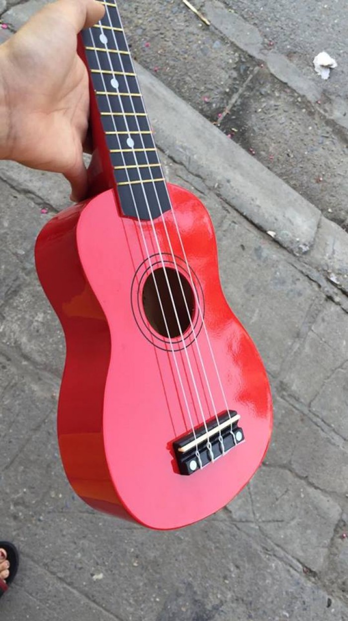 Đàn Ukulele Soprano Gỗ US-1000 - Limited Edition
