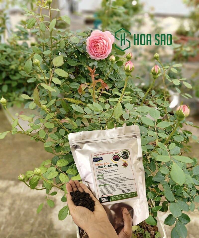 Phân bón hữu cơ khoáng - túi 2kg