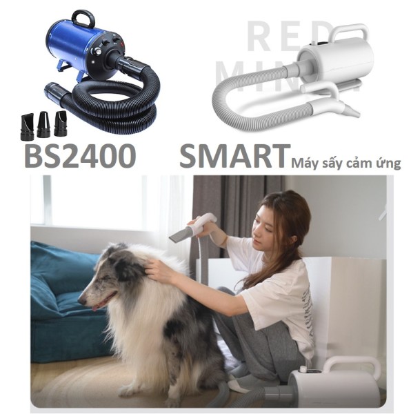 (Bảo hành 6 tháng) 2 loại máy sấy lông chó  BS2400 & SMART máy sấy chuyên dụng phòng khám chó mèo, thú cưng