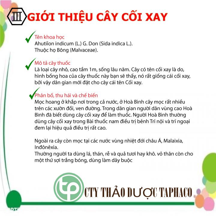 Cây cối xay khô 500g - Dược Tấn Phát