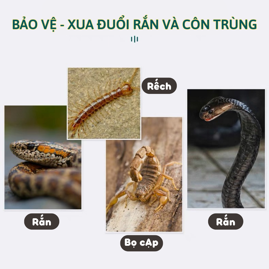 Snake Repellent, Snake Repellent Beads to Protect Humans