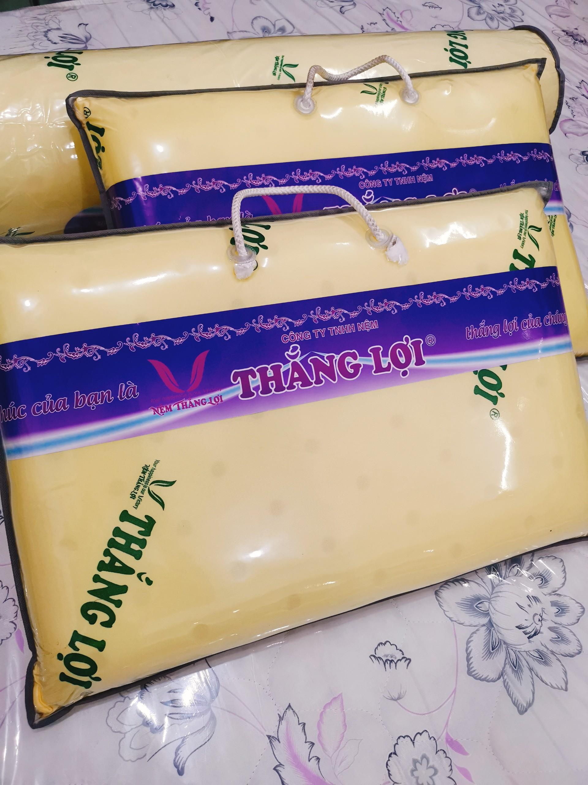 [HCM]GỐI CAO SU NON THẮNG LỢI CAO CẤP (Kích thước 50cm x 70cm)