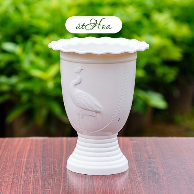 Chậu Ly Cò Có Đế Cao