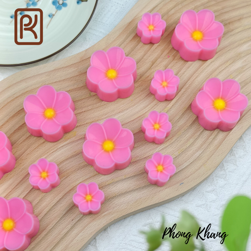 Combo 12 khuôn silicon ( 6 khuôn 5cm-6 khuôn 3cm) Phong Khang hình hoa sứ