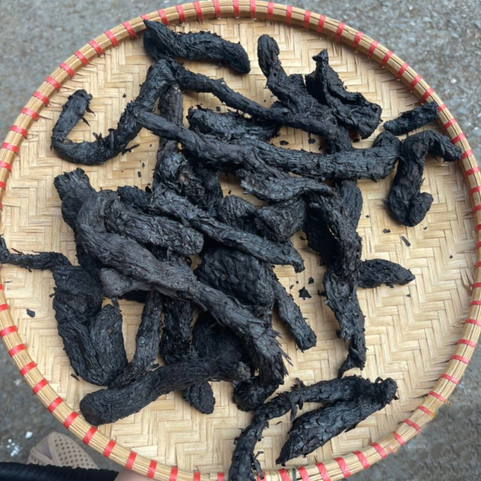 Nhục thung dung khô 100g - Thảo Dược Tấn Phát