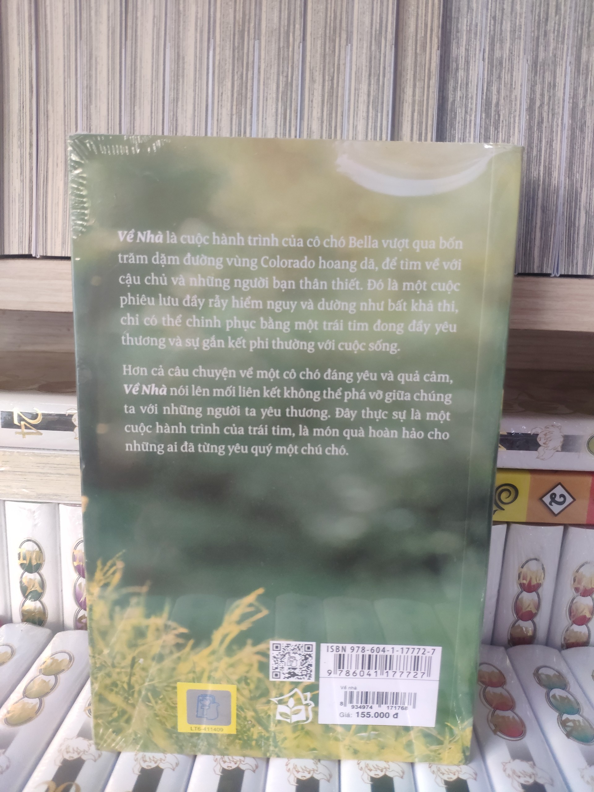 Sách NXB Trẻ - Về Nhà
