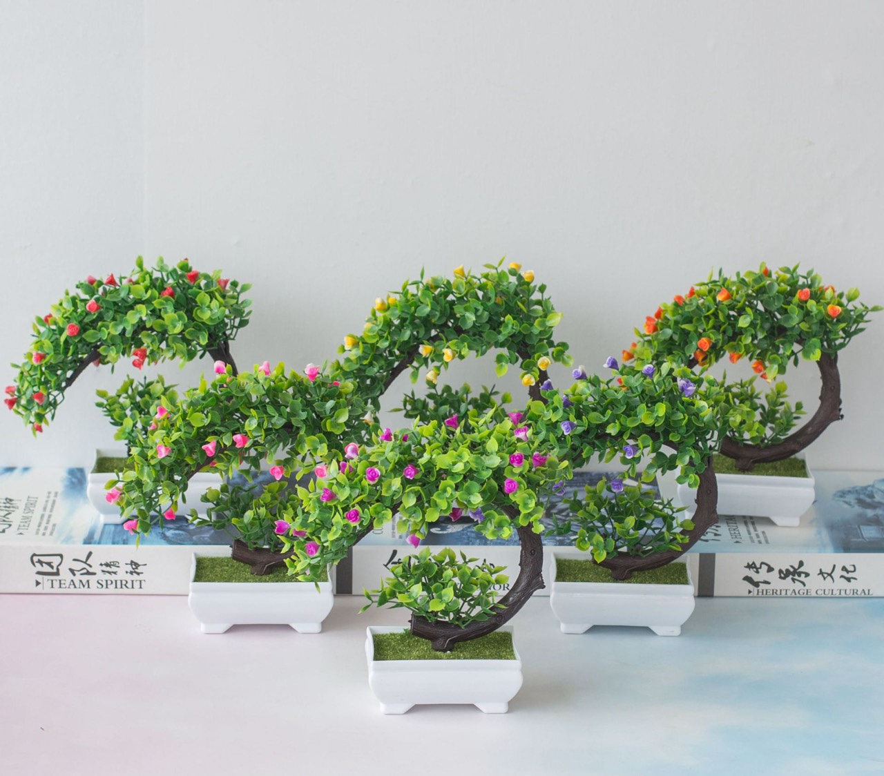 [HCM]Chậu Cây Bonsai Phú Quý - Vạn Sự Như Ý