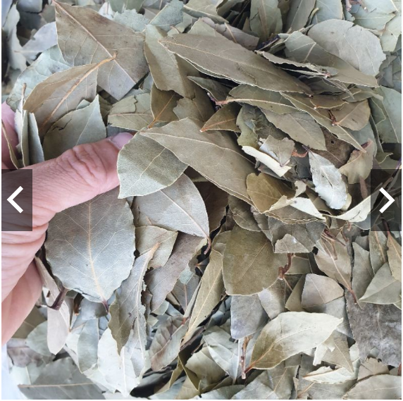 Lá nguyệt quế Khô (Lá Bay leaves)