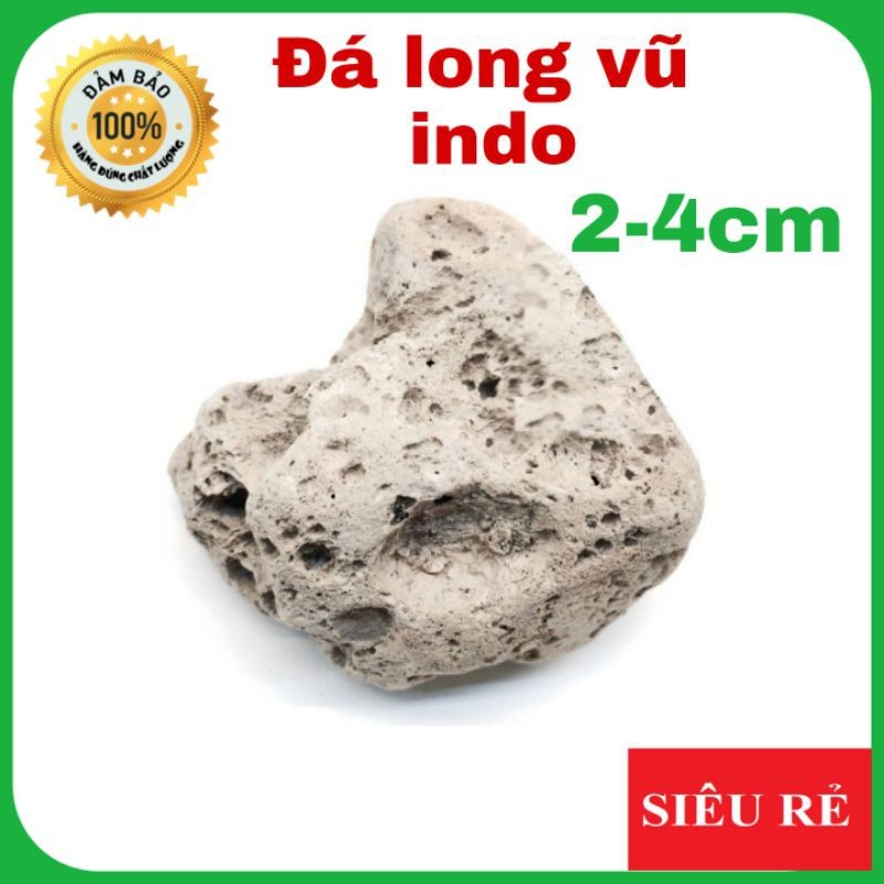 [HCM]1kg đá long vũ indo nham thạch trắng 2-4cm - vật liệu lọc