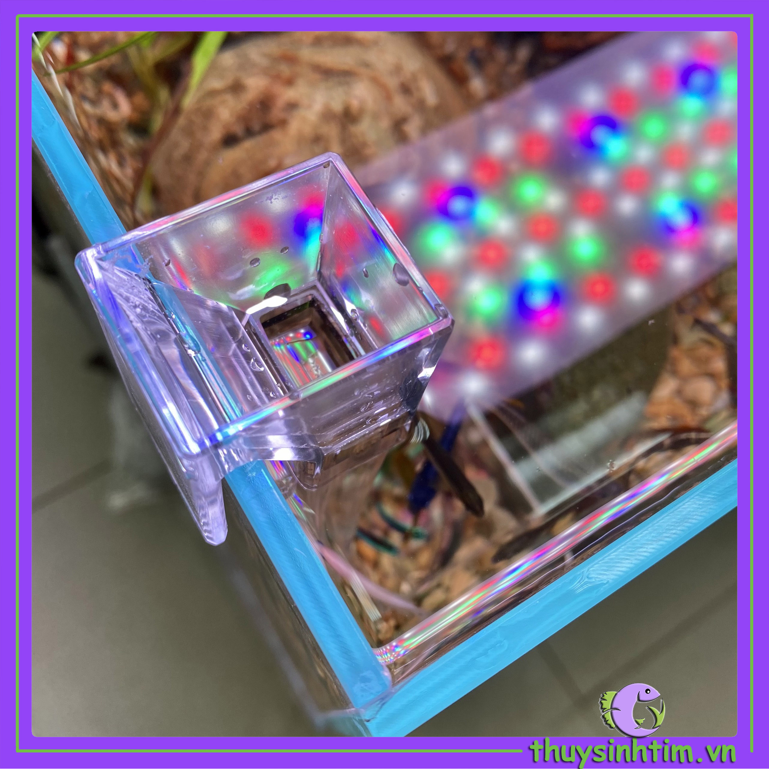 Bộ Ống Acrylic Đựng Thức Ăn Cho Cá Tép Cảnh