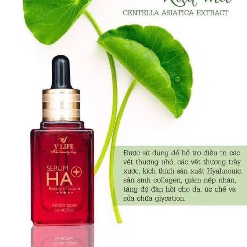 Serum dưỡng ẩm HA+ V LIFE cấp ẩm dưỡng da phục hồi cho da hư tổn 20ml