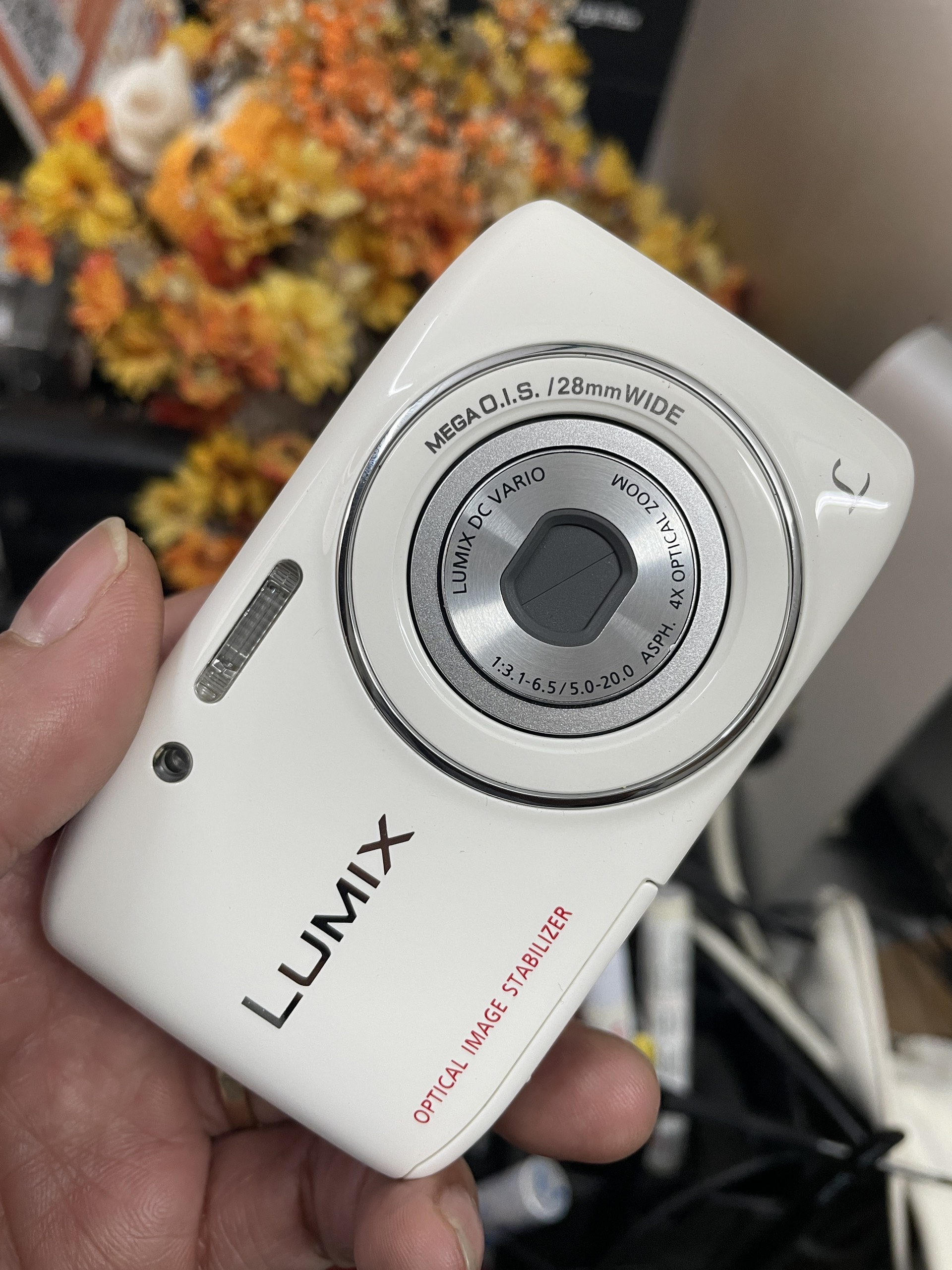 Panasonic Lumix DMC S2 14.1Mpx