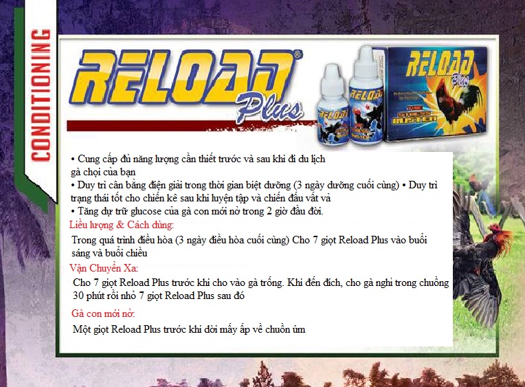 Reload PLUS chống rớt bo cho gà đi đá 15ml