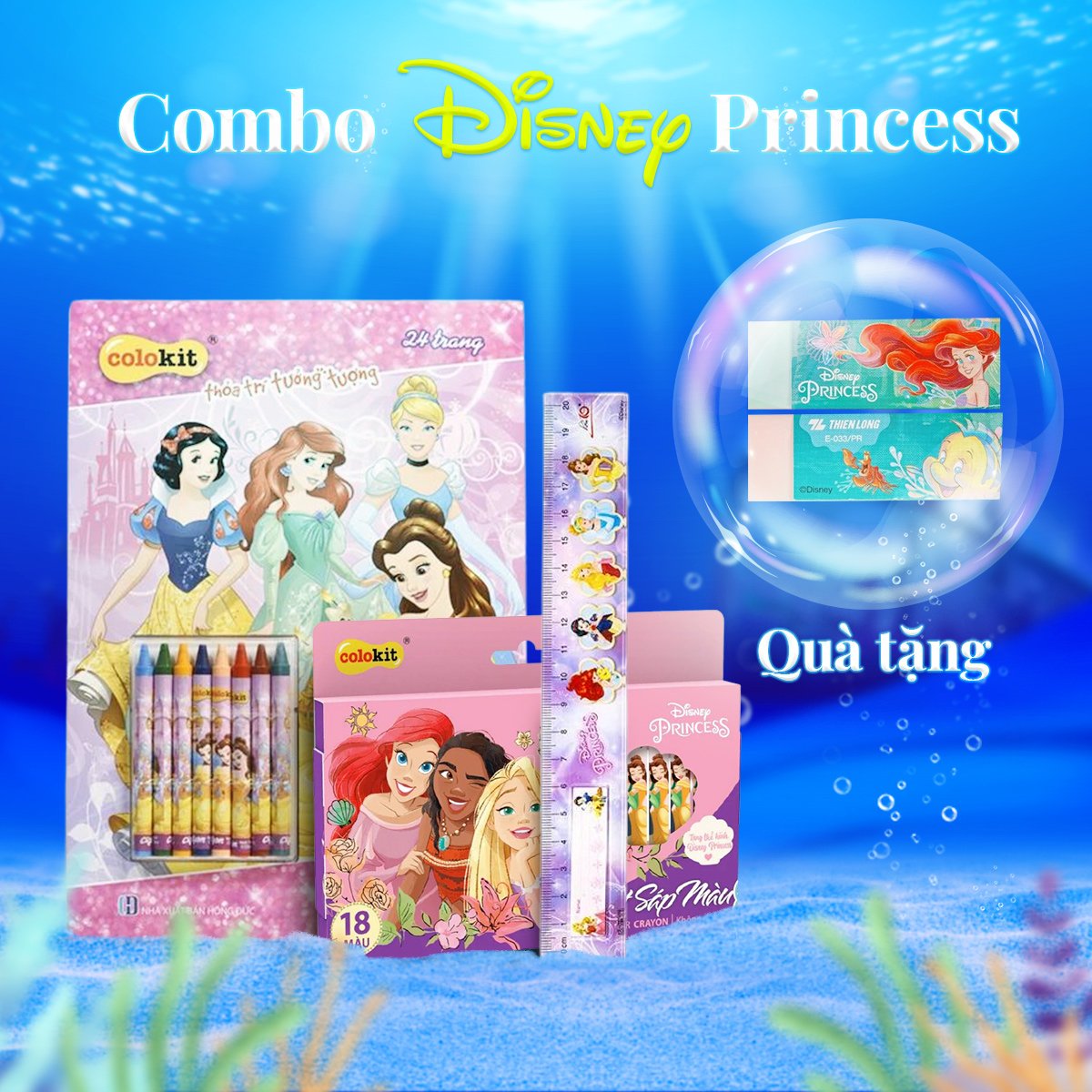 Combo Disney Princess