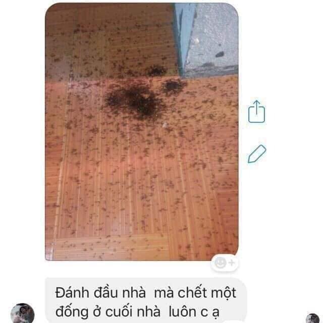 Thuôc Diệt Kiến Gián Sinh Học Việt Nam