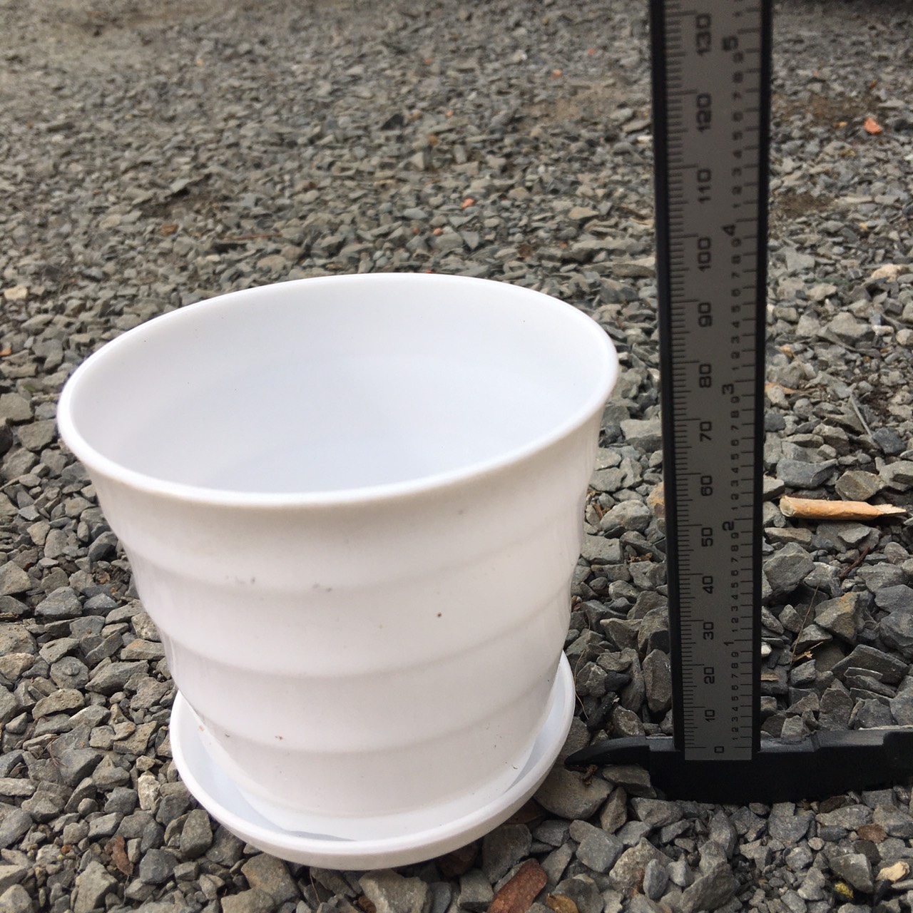 Chậu nhựa trắng kèm dĩa có đế 6cm