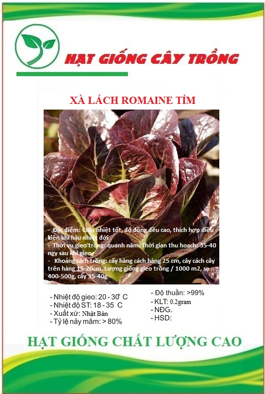 Hạt giống xà lách romaine đỏ - gói 0.2gram