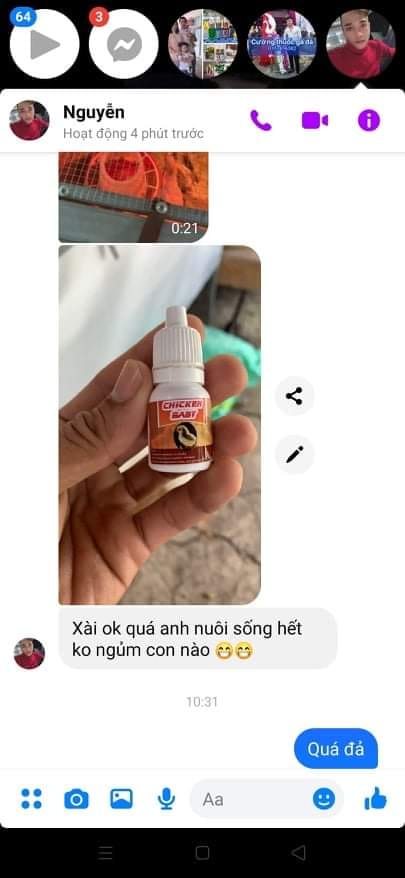 ÚM GÀ CON MỚI NỞ SIÊU ĐỈNH, CHICKEN BABY
